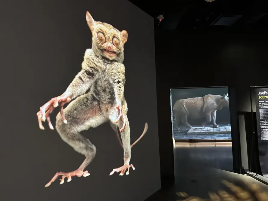 National Geographic recibe a los exploradores del mundo en nuevo museo
