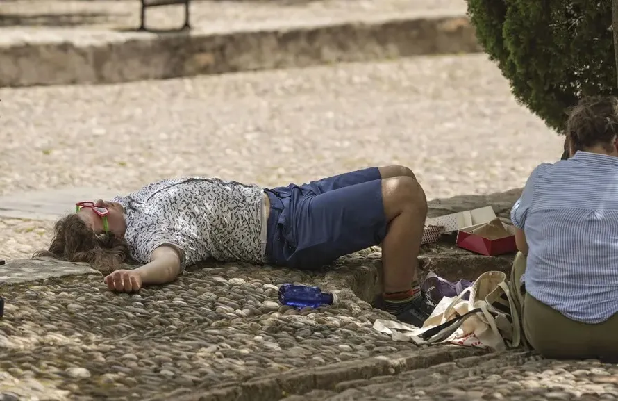 OMS alerta que calor extremo causa 500,000 muertes al año