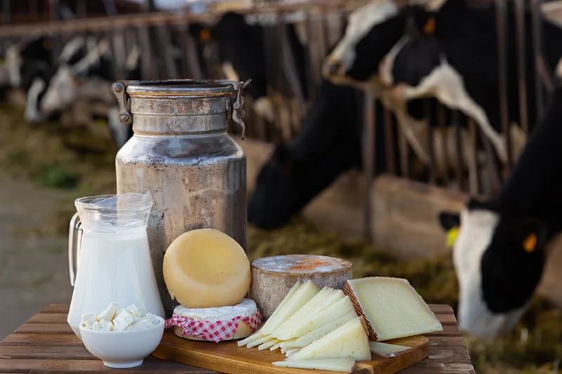 Importaciones de leche y quesos rompen récord al sumar $124.3 millones hasta mayo
