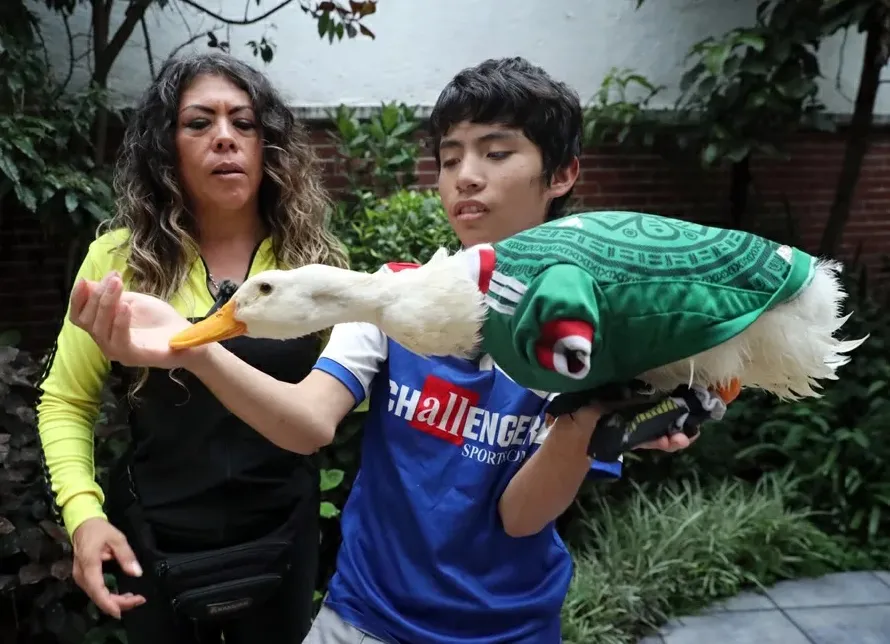  Familia mexicana registra marca del pato Merlín tras uso comercial no autorizado