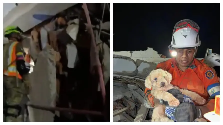 Brigada salvadoreña localizan con vida a un hombre y a perrita "Giselle" entre los escombros en Caraballeda, Venezuela