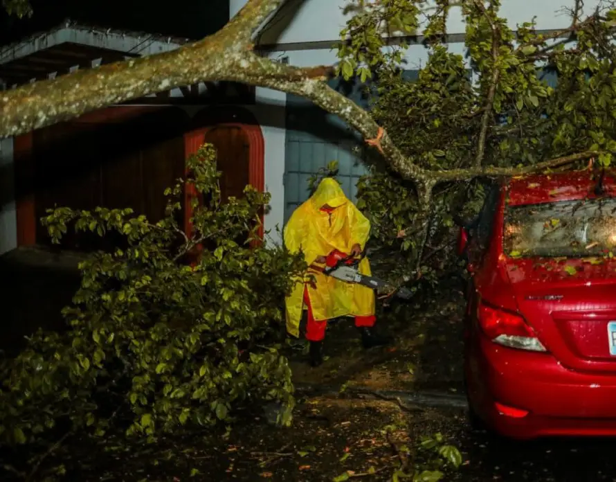 Lluvia del domingo dejó 28 árboles caídos, dos carros dañados y un muro colapsado