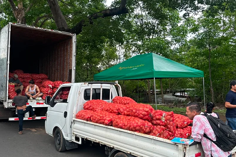 MAG instala punto de venta de papa a precio fijo en Sonsonate