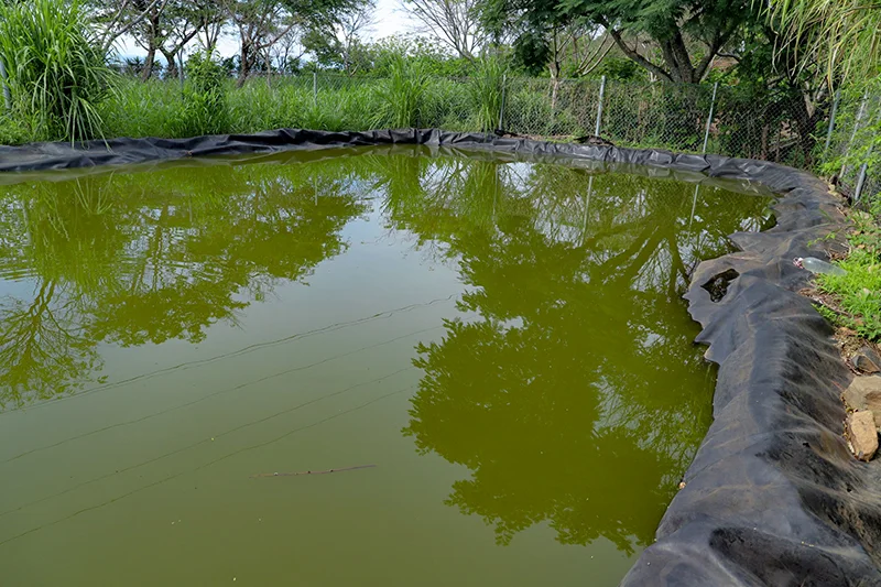MAG recomienda construir reservorios de agua ante riesgo de sequía por El Niño