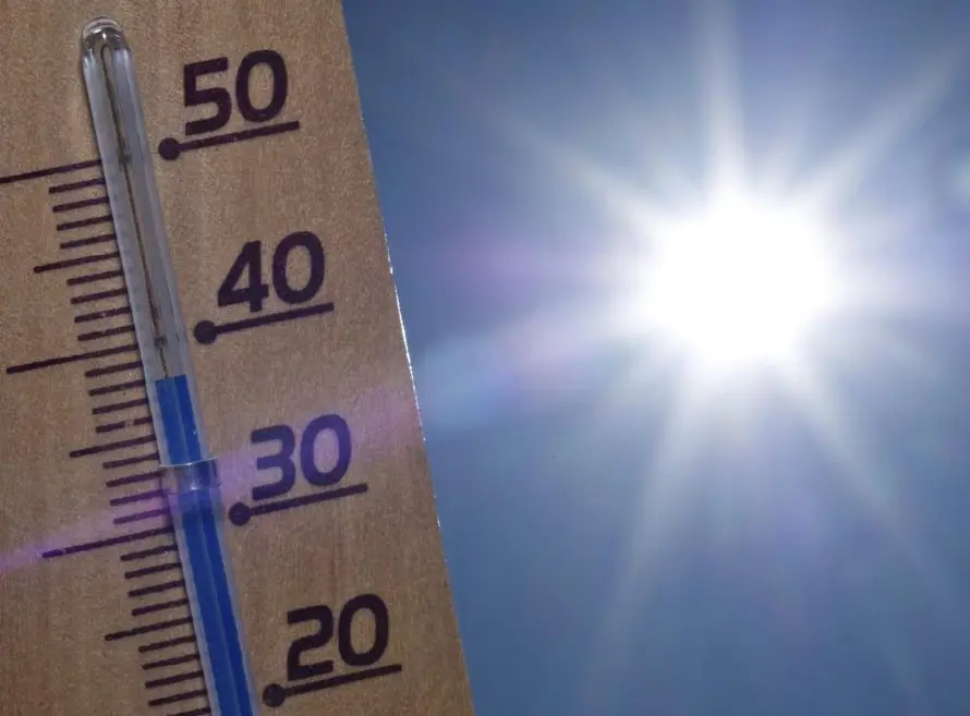 Alemania registra récord de 9,800 muertes por intenso calor