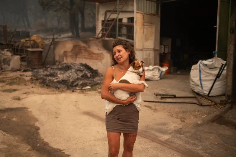 Alertan sobre el devastador impacto ambiental de los incendios forestales que afectan España
