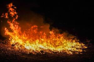 FGR destruye más de 64,000 gramos de marihuana, cocaína y metanfetamina valorados en más de $357,000