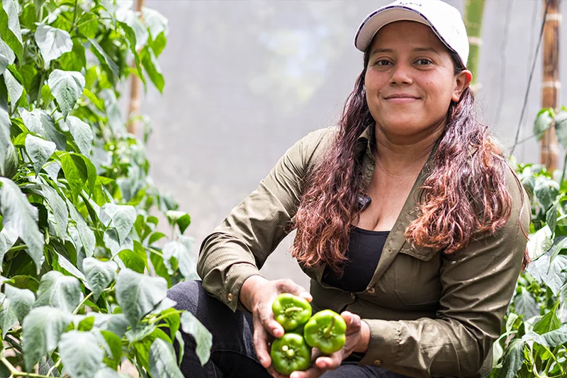 De la tierra a las redes: mujeres de Ciudad Barrios impulsan un negocio de hortalizas
