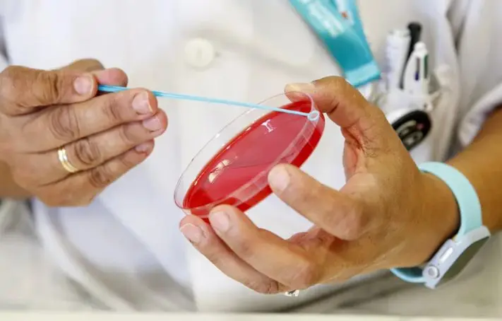 Médico investigador de la UES detecta variantes de un virus ligados al cáncer infantil