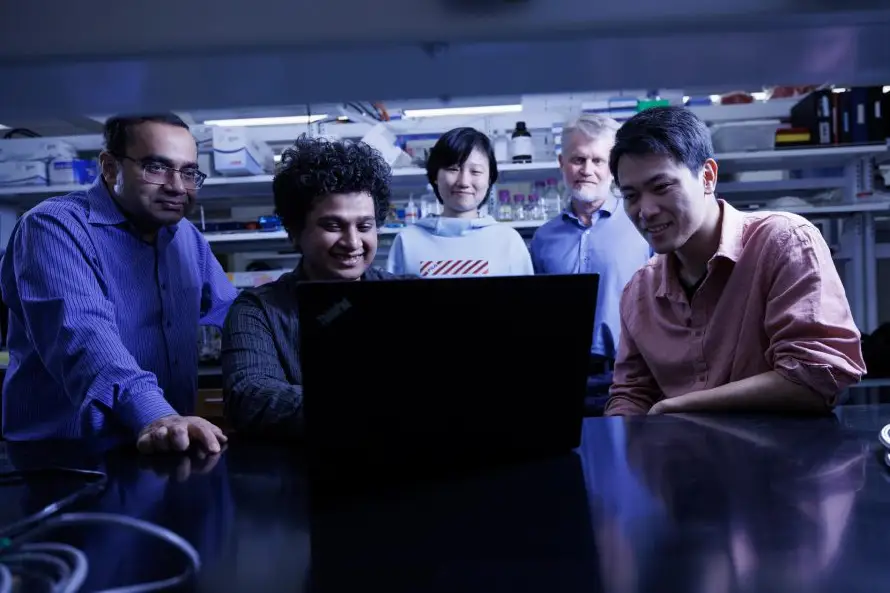 Raygun, una herramienta de IA capaz de rediseñar proteínas sin sacrificar su función