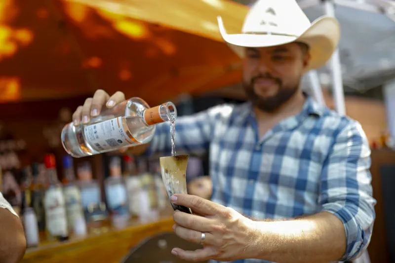 Sobreproducción de agave provoca abandono de cultivos y expansión de plagas en la zona tequilera de México