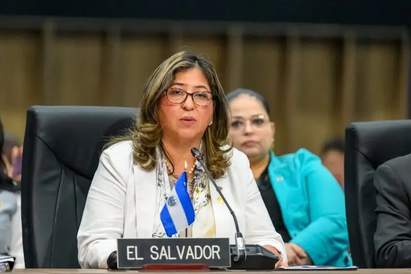 Embajadora salvadoreña ante la OEA: "Ningún derecho puede ejercerse plenamente cuando una familia vive bajo el miedo"