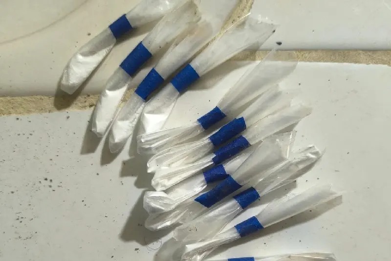 Capturan a dos presuntos distribuidores de droga en allanamiento en Quezaltepeque