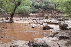 Inundaciones repentinas en el Gran Cañón dejan unos 15 desaparecidos y 62 evacuados