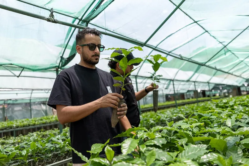 Muestras de café salvadoreño hacia un posible acuerdo de exportación a Arabia Saudita