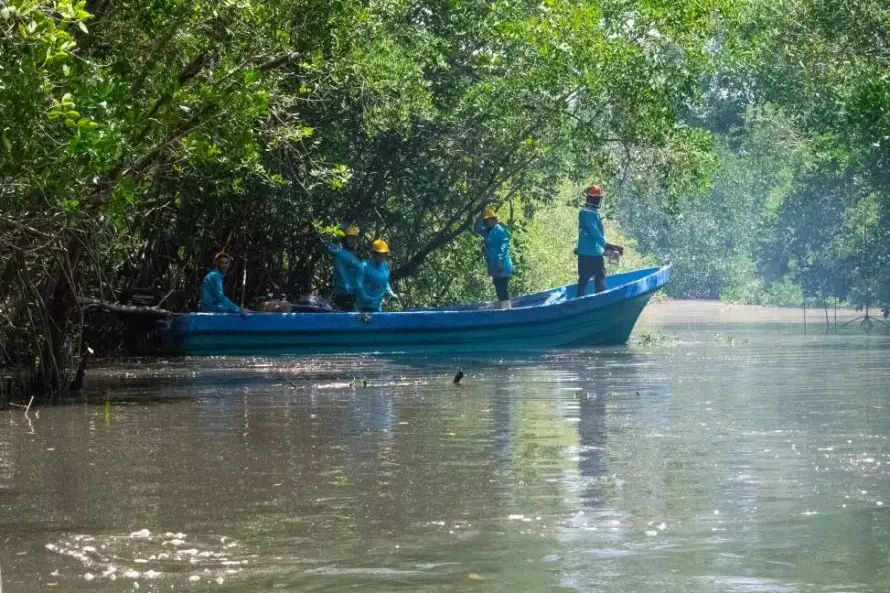 Bancoagrícola y Mastercard destinan $267,000 para la restauración de 18 km de manglares en El Salvador