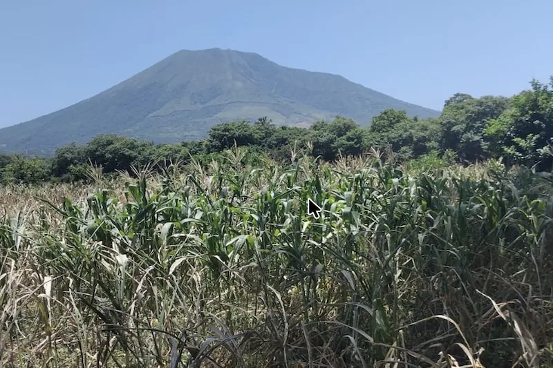 Agosto fue el mes más seco en El Salvador desde 1971
