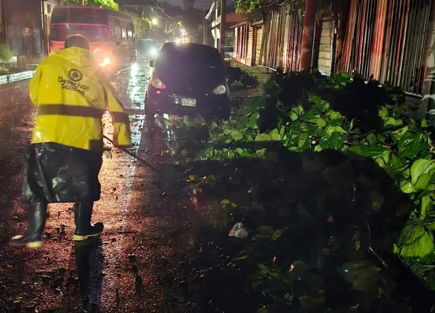 Árboles caídos y daños dejó el paso de onda tropical este jueves