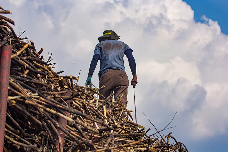 MAG confirma que alza del petróleo y cambio climático dificultaron gestión agrícola el último año