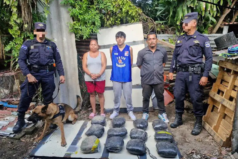 Capturan a tres personas tras incautar 12 porciones de marihuana en San Salvador
