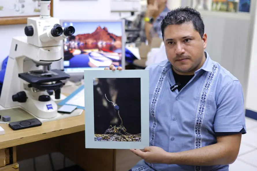 Descubren en México seis “hongos zombis”, uno bautizado Guillermo del Toro