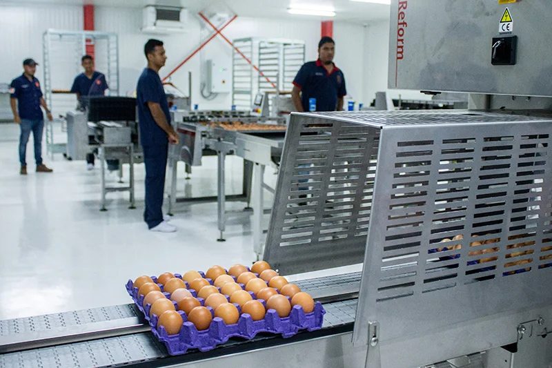 La producción industrial creció 4.3 % en junio por repunte en la demanda de alimentos y farmacéuticos