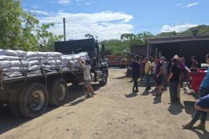 MAG inicia venta de concentrado para ganado ante sequía en oriente