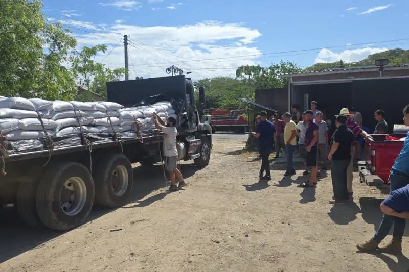 MAG inicia venta de concentrado para ganado ante sequía en oriente