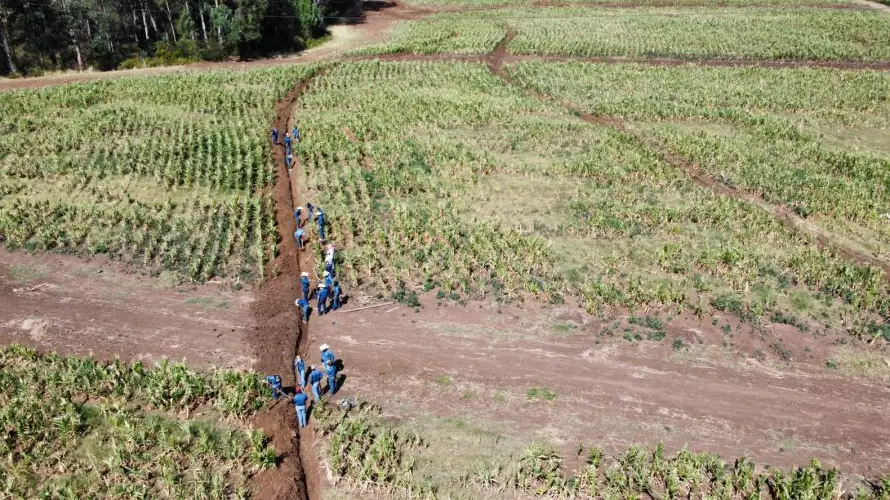 El retorno de migrantes al mundo rural acentúa crisis por sequía en parte de Centroamérica