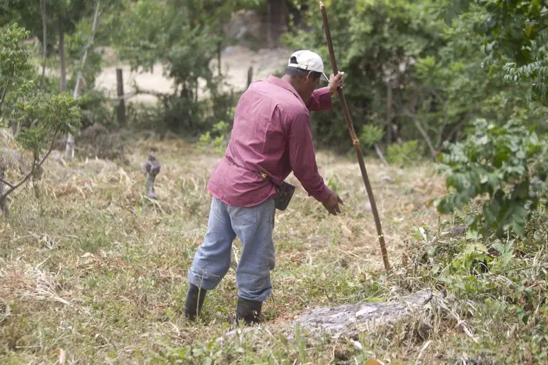 Honduras provocará lluvias artificiales para enfrentar prolongada sequía