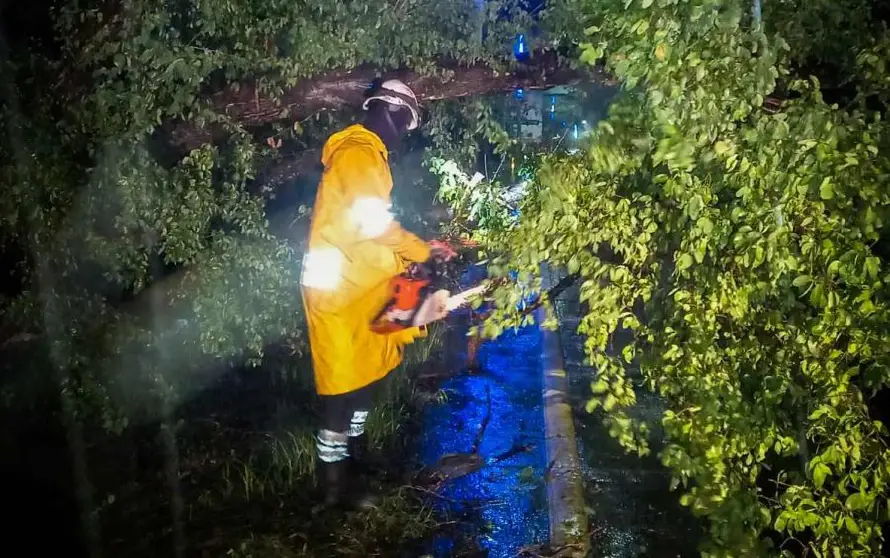 Árboles caídos, deslizamientos y desbordamientos de ríos: Protección Civil reportó 450 emergencias por lluvias
