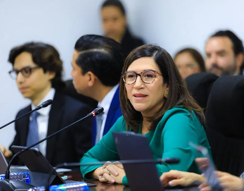 Discusión entre diputada y funcionarios por uso de la IA en empresas que expanden sus inversiones