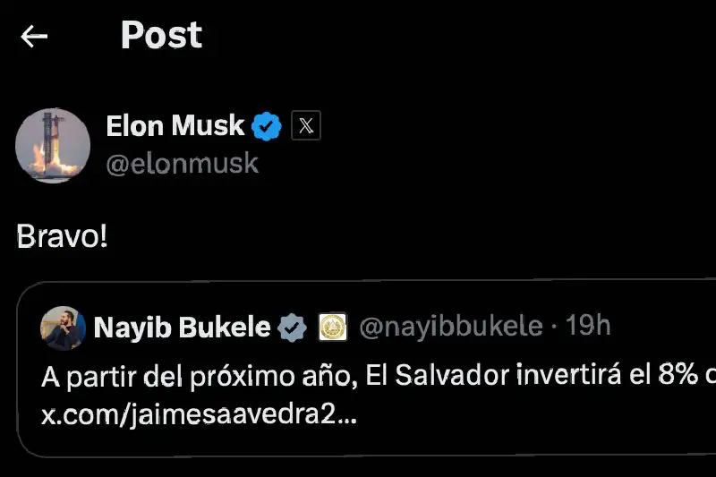 “Bravo”, responde Elon Musk a Bukele por anuncio de inversión en educación