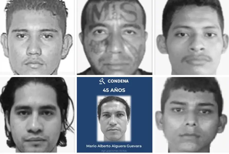 En audiencia única emiten condenas entre 20 y 45 años de prisión por agrupaciones ilícitas: FGR