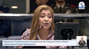 Aprueban exención de Impuesto sobre la Renta a los artistas sobre ingresos de hasta $15,000 y $25,000 anuales