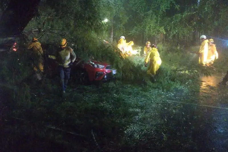 Lluvias de la noche del sábado dejan árboles caídos, cortes de energía e inundaciones