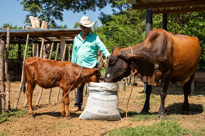 MAG comienza venta de concentrado lechero en Usulután ante estragos por sequía