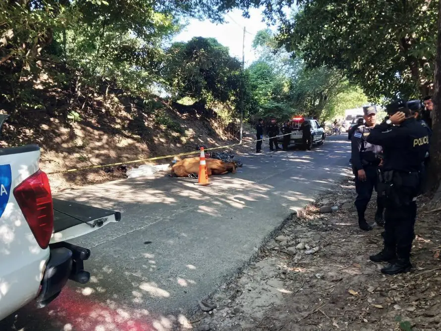 Motociclista muere tras chocar contra una vaca en Tapalhuaca