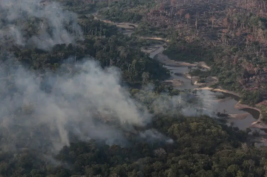 La campaña electoral en Brasil relega al medioambiente mientras la Amazonía arde en llamas