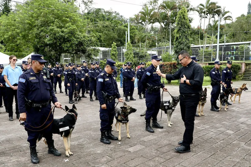 Estados Unidos entrega a la PNC seis perros para detección de ilícitos