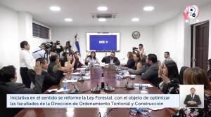 Dictaminan excepción en Ley Forestal para cambio de uso de suelo en zonas con árboles por cambios en el entorno