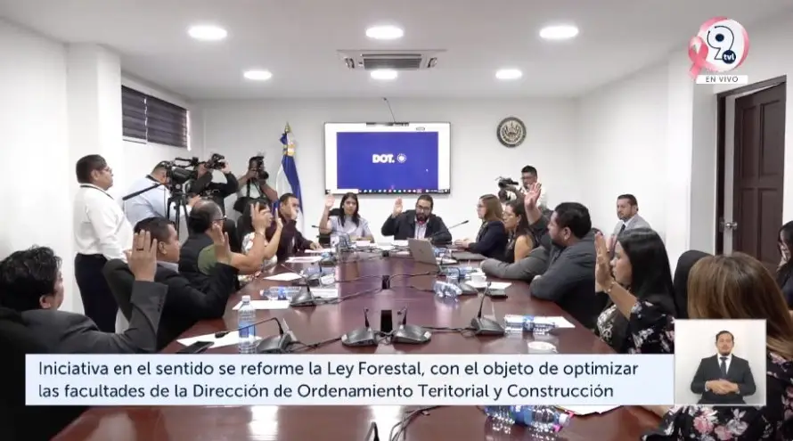 Dictaminan excepción en Ley Forestal para cambio de uso de suelo en zonas con árboles por cambios en el entorno