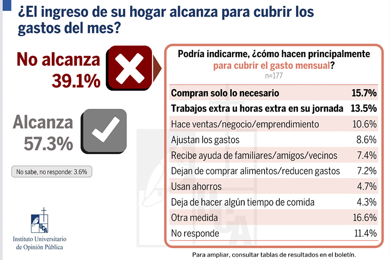 Original Spanish-language infographic showing the Iudop household-income survey results.