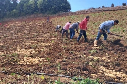 Más de 100,000 familias han recibido apoyo por pérdidas ante El Niño, según el MAG