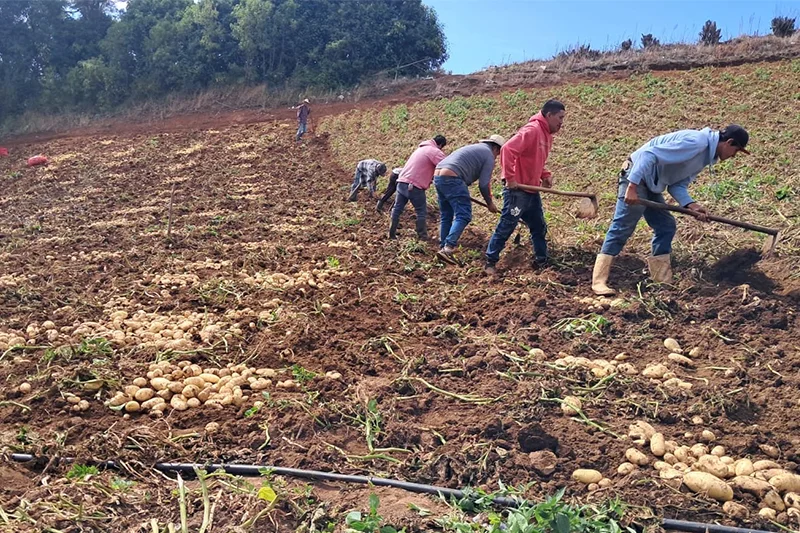 Más de 100,000 familias han recibido apoyo por pérdidas ante El Niño, según el MAG