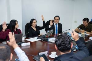 Dictaminan reforma a presupuesto 2026 por $78 millones para Salud, Obras, Defensa, Presidencia y otras entidades