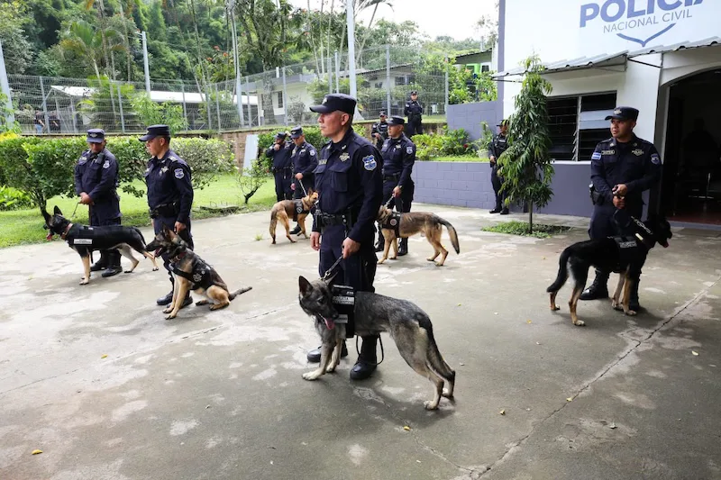 La Unidad Canina de la PNC ha contribuido a la incautación de 2.4 toneladas de cocaína desde 2020