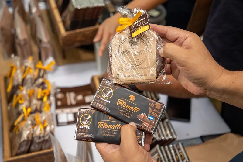 Destinan $7.2 millones a sistemas agroforestales de cacao en tres departamentos