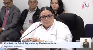 Reforma: directora del CENTA dice a diputados buscan vender semilla certificada y pequeña maquinaria a agricultores